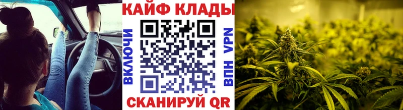Наркошоп купить Псилоцибиновые грибы  КОКАИН  Меф  Канабис  Питкяранта