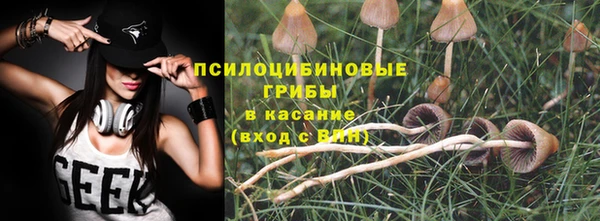 ПСИЛОЦИБИНОВЫЕ ГРИБЫ Аркадак